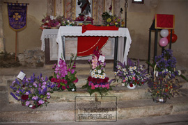 Concurso floral